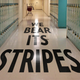 Illustration for article titled How to Survive High School Unscathed (Even After the Fact)